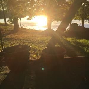 Meet your Posher, Ricky